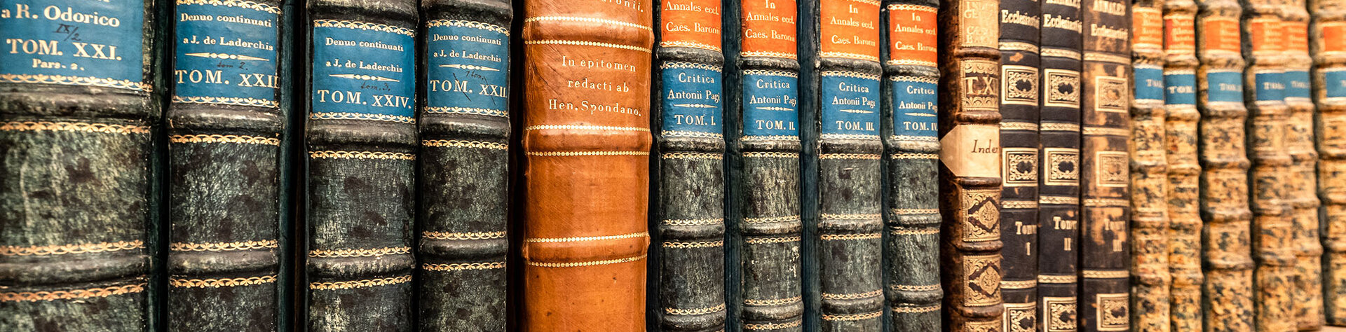 Detail einer Bücherregals mit alten Büchern