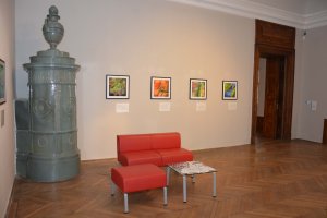 Galerie der Moderne 2017