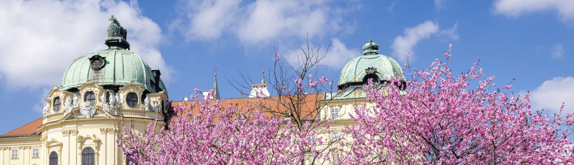 Baum im Blüte vor dem Stift Klosterneuburg